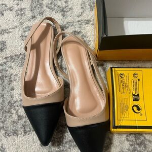 Flat pointed toe shoes